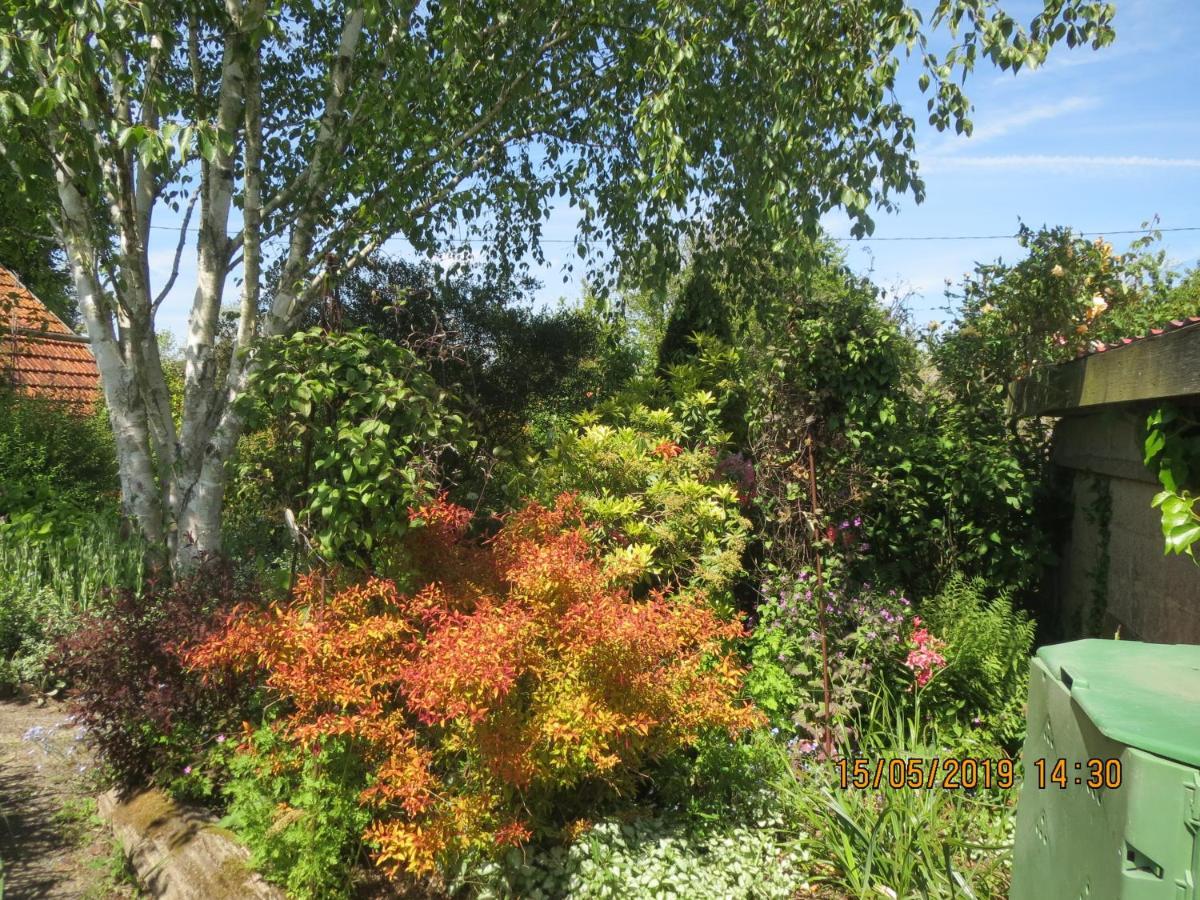 La Haute Gilberdiere Sartilly-Baie-Bocage Exterior foto