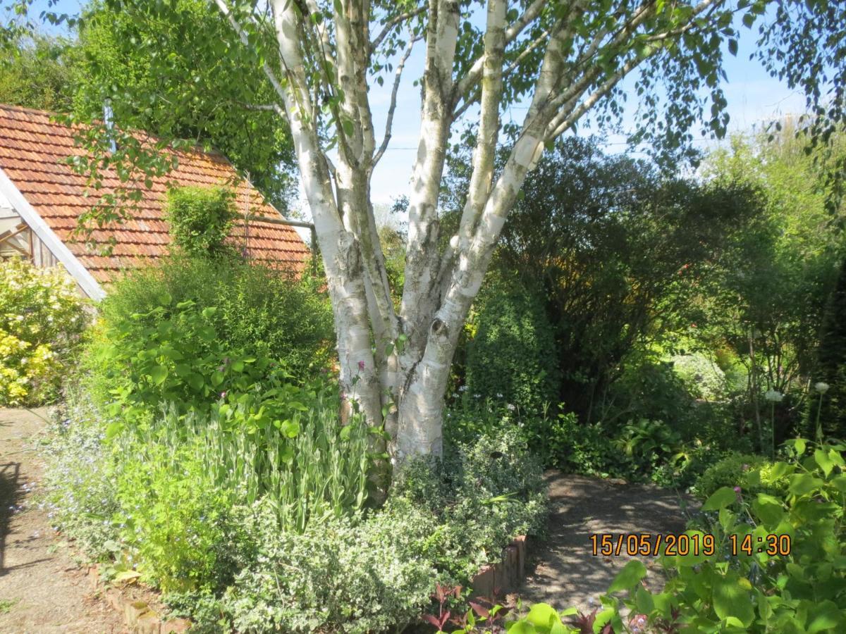 La Haute Gilberdiere Sartilly-Baie-Bocage Exterior foto